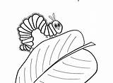 Caterpillar Getdrawings Printables 선택 보드 sketch template