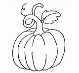 Pumpkin Coloring Plant Coloringcrew Clipartmag Drawing sketch template