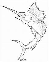 Marlin Swordfish Pez Espada Fish Dibujo Sailfish Peixe Peces Colorir Coloringbay Animales Aquarela Sharpie sketch template