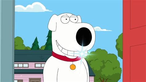 brian griffin wallpaper  images