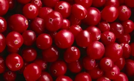 cranberries   red powerfood   big punch