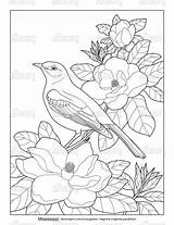 Flower Licensing Artlicensing Printables sketch template