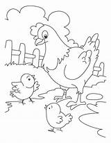 Coloring Chicken Pages Cute Children Farm Animal Coloringfolder Spring Book Sheets Funny sketch template