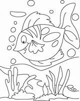 Fish Coloring Pages Rainbow Floating Pdf Getcolorings Color Getdrawings Kids sketch template
