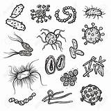 Bacteria Microbe Gent Beth sketch template