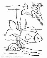 Coloring Fish Pages Pet Printables Pond Kids Sheets Printable Drawing Color Pets Print Honkingdonkey Activity Fun Activities Popular Help Comments sketch template