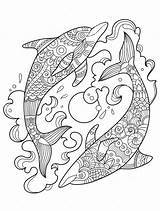 Coloring Zentangle Dolphin Pages Colouring sketch template