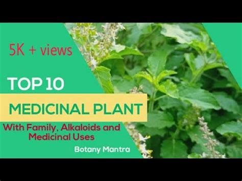 medicinal plants    scientific names  medicinal herbs parts  youtube