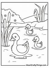 Duck Coloring Pages Printable Ducks Ducklings Iheartcraftythings Cute Little Yellow 2021 sketch template