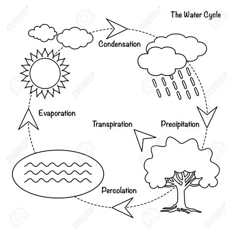 simple water cycle diagram  explanation pics diagrammlower