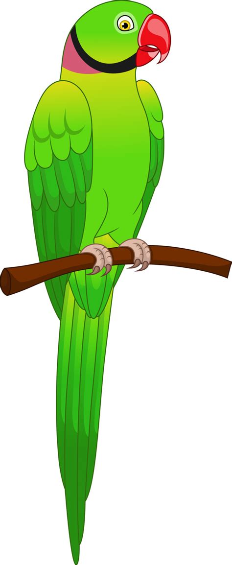 cute macaw parrot cartoon  tree branch  vector art  vecteezy