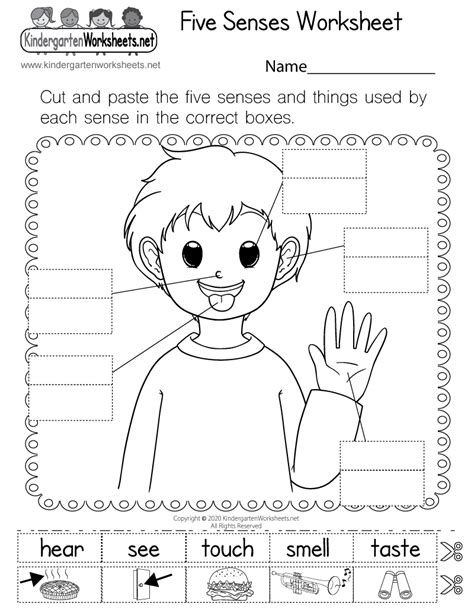 printable  senses worksheet  kindergarten lessonpaths