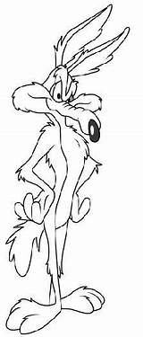 Coloring Pages Looney Tunes Coyote Cartoon Wile Para Kids Colorear Road Characters Imprimir Runner Book Disney Sheets A4 Choose Board sketch template