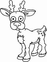 Reh Kleurplaat Dieren Coloring Kleurplaten Herten Deer Hert Suesses Tekeningen Veado Animale Colorat Planse Jeleni Hertjes Bojanke Malvorlage Caprioara Jelen sketch template