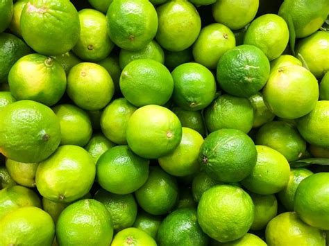 grow lime trees  pots  easy tips