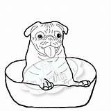 Pug Pugs Stamping Craftgossip sketch template