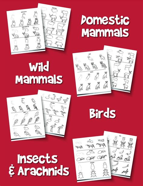 animal drawing book  kids   draw  animals  printables  woo jr kids