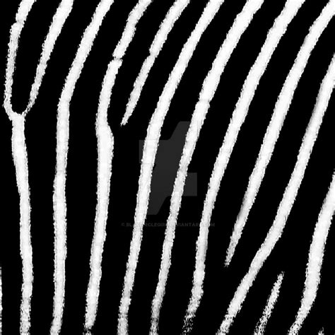 zebra print  blakcirclegirl  deviantart
