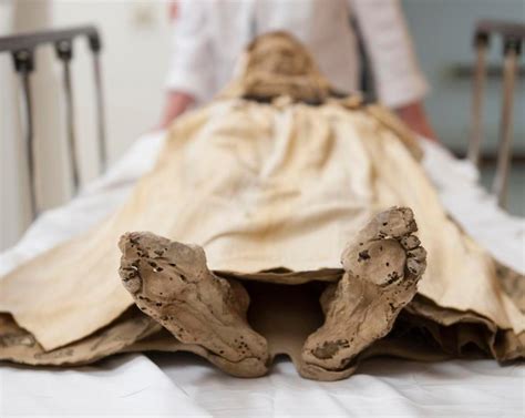 mummy woman   baby die scans  mummies finally yield  answers orange