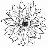 Sunflower Gerbera Stencil Beccy Gerberas Kleurplaat Zonnebloem Bloem Gerber Sunflowers Bordar Beccysplace Aster Mexicano Designlooter Tela Sun Tracing Besuchen Sonnenblume sketch template