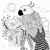Papagei Loros Kleurplaat Papegaai Colorear Parrot Colouring Nicaragua Hermoso Tier Mewarn15 Gezeichnet sketch template