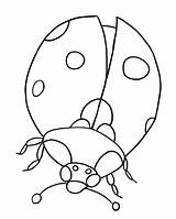 Coloring Ladybug Pages Kids Getcolorings sketch template