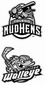 Toledo Hens Mud Walleye Coloring Template Pages sketch template