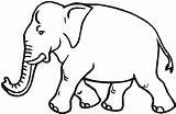 Elephant Coloring Pages Printable Creative Young Wildlife Animals Via sketch template
