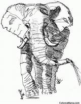 Comiendo Elefante Hierba sketch template