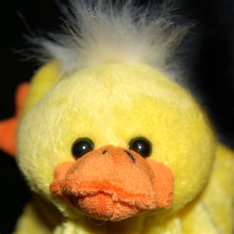 [image 101384] duck face know your meme