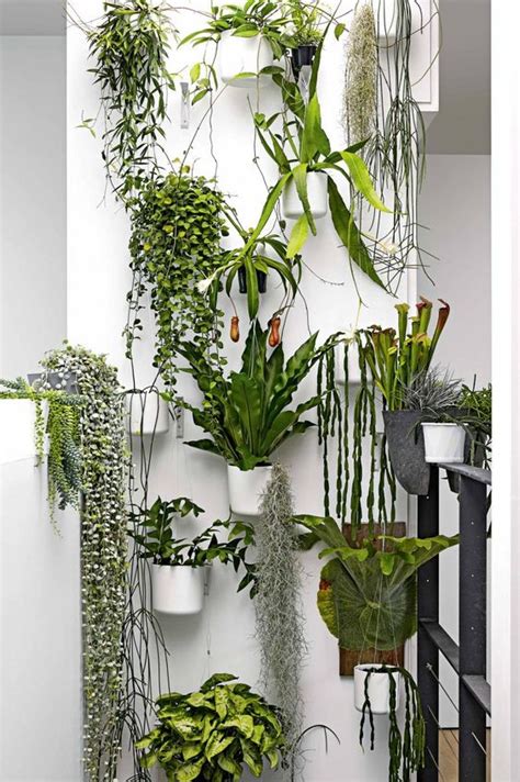 House Plants Bringing More Green Into Your Home’s Interior Design