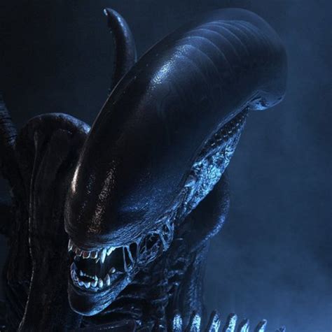 ridley scott has plans for a new alien movie following the nerd