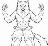 Werewolf Coloring Drawing Draw Drawings Template Comments Getdrawings Tutorial Coloringhome sketch template