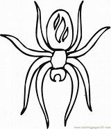 Spider Coloring Pages Printable Spiders Sheets Animals Halloween Popular Library Clipart Coloringhome sketch template