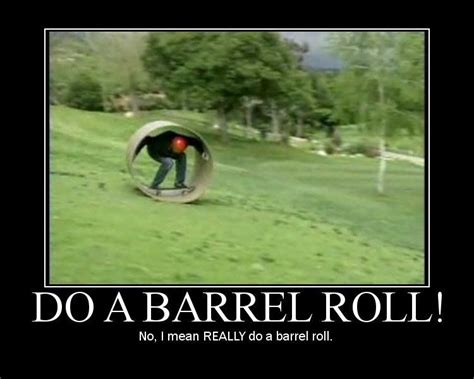 [image 1124] Do A Barrel Roll Know Your Meme