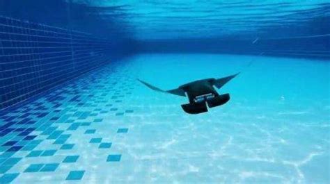 network showed sea drone   future  siver times