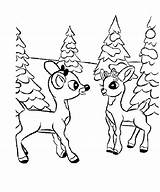 Deer Coloring Baby Pages Cute Outline Drawing Color Rudolph Popular Getdrawings Library Clipart Coloringhome sketch template