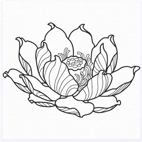 simple flower drawing simple flower tattoo flower  drawings