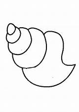Shell Conch Coloring Pages Draw Library Clipart Drawing Seashell Kids sketch template