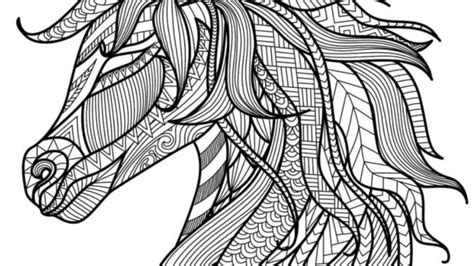 unicorn adult coloring page unicorn coloring options