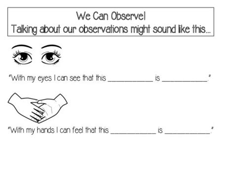 Think Like A Scientist Observe Sort And Classify Lesson Plan