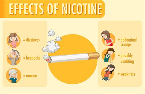 efectos de la infografia de informacion de nicotina  vector en