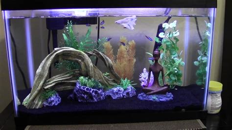 set  fish tank properly   set   aquarium