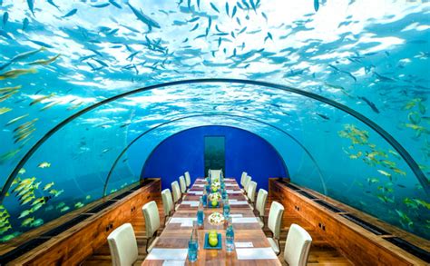 er bestaat een onderwater restaurant waar je kunt dineren tussen de vissen fem fem
