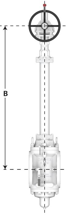 valve standard options western valve