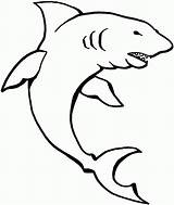 Shark Coloring Pages Whale Printable Color Comments sketch template