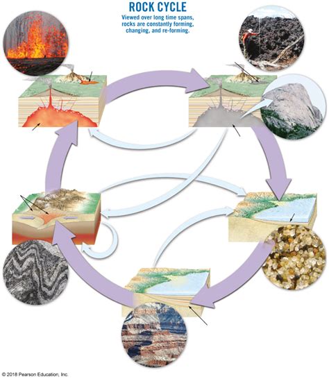 solved   rock cycle diagram  fill   purple