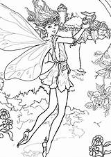 Fairy Pages Coloring Printable Christmas Beautiful Print Colouring Kids sketch template