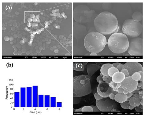 nanomaterials  full text eco friendly acaricidal effects  nylon  nanofibers