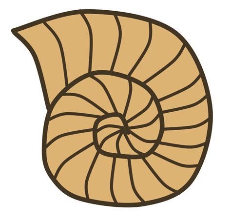 fossils clipart   cliparts  images  clipground